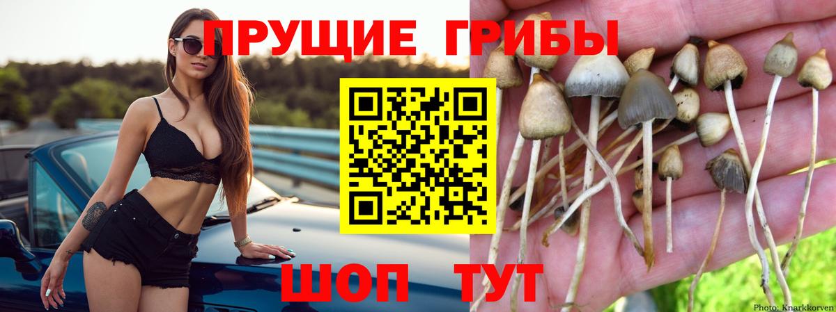 Псилоцибиновые грибы Magic Shrooms Советская Гавань