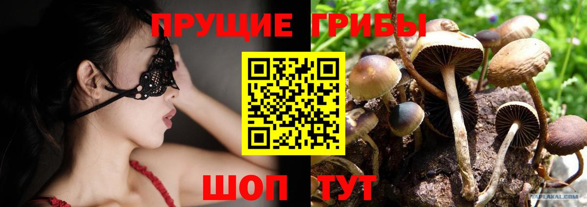 Псилоцибиновые грибы Cubensis  Псилоцибиновые грибы MAGIC MUSHROOMS  Вход с VPN  Советская Гавань 